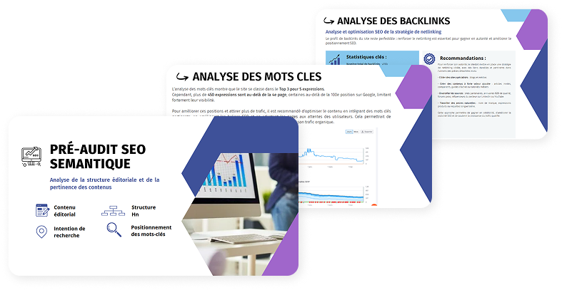 Audit SEO - L'Agence e-commerce